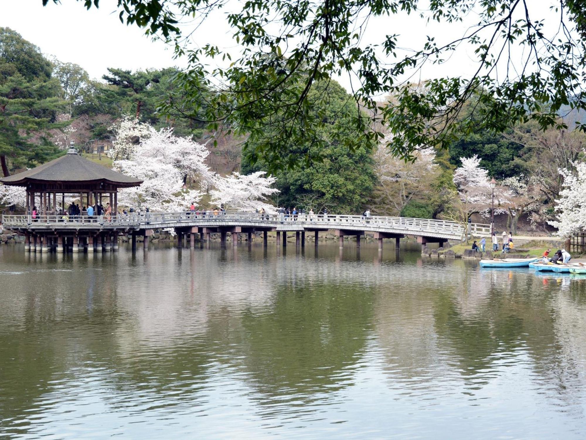 Nara - Hotel / Vacation Stay 47950 Dış mekan fotoğraf