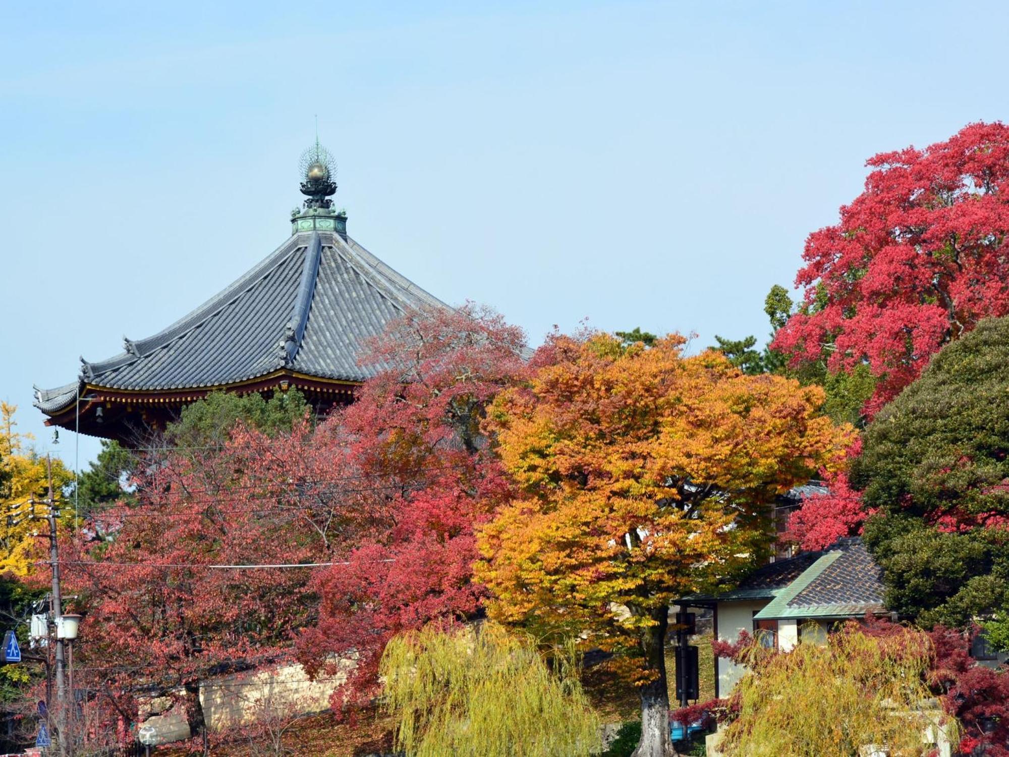 Nara - Hotel / Vacation Stay 47950 Dış mekan fotoğraf